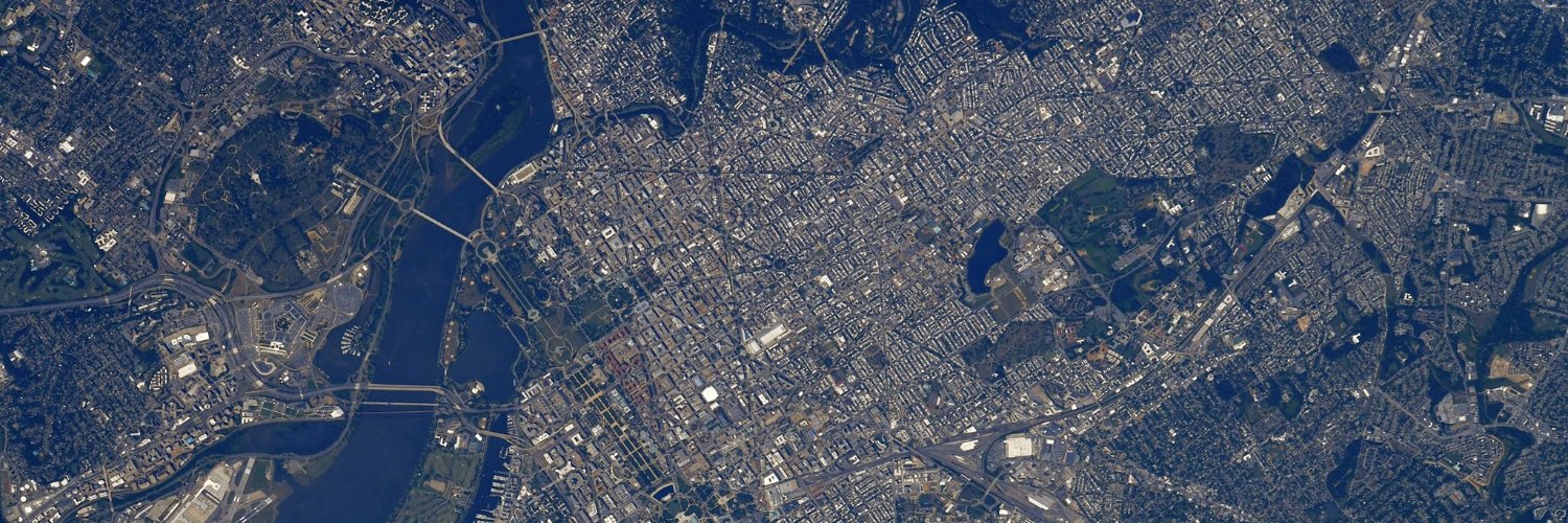 THE loveable loser banner