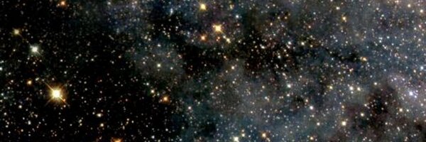 junigoh Profile Banner