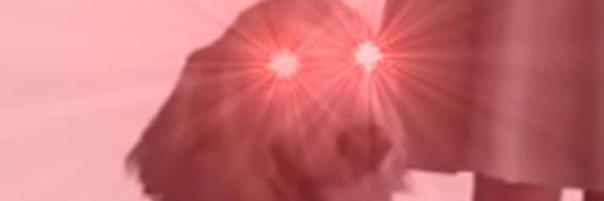 ShikaDub's profile banner image