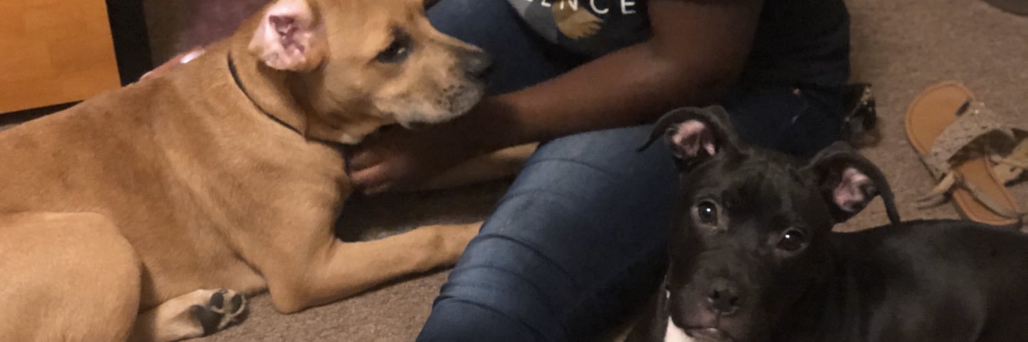 KeyKeyShynae's profile banner image