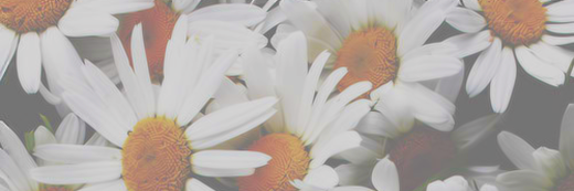 laauralem's profile banner image