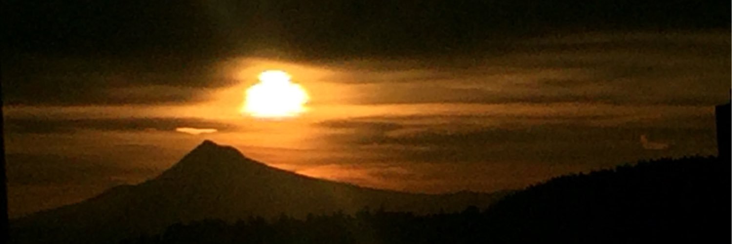 Lbman25's profile banner image