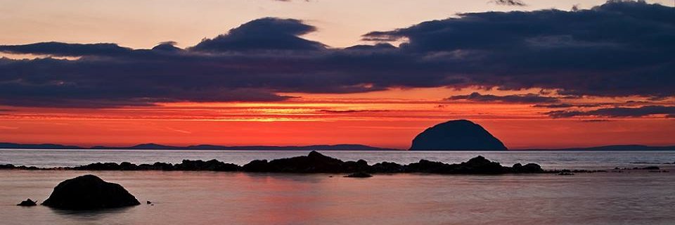 Robert Sandlan banner