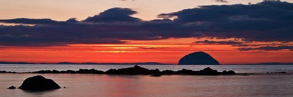 Bobzilla Profile Banner