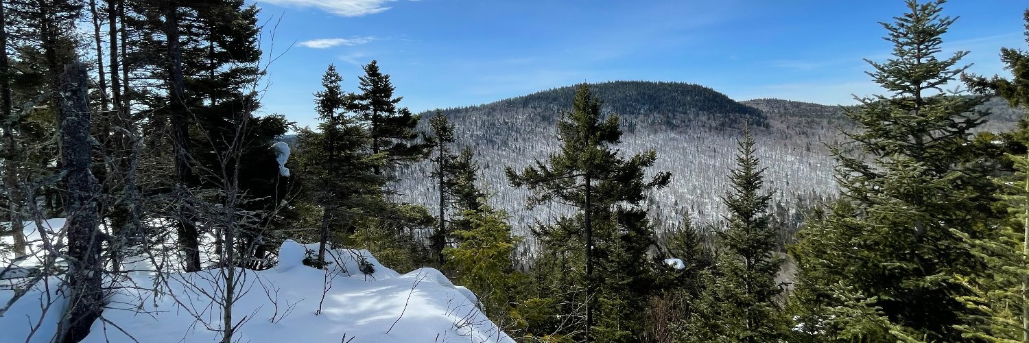 H3❄️+🇵🇸🍉 banner