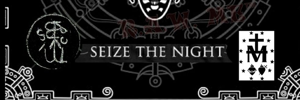 LadyoftheNI5HT's profile banner image