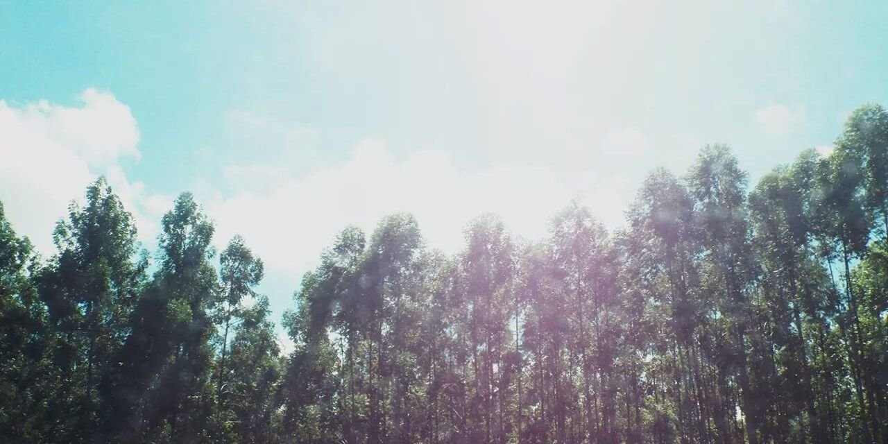 GabsG__'s profile banner image