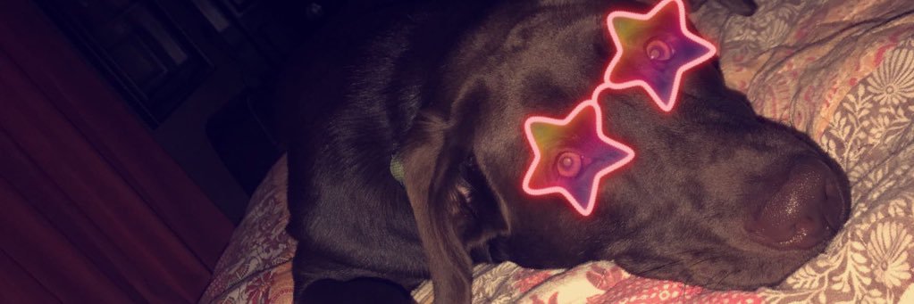 Court_Whittt's profile banner image