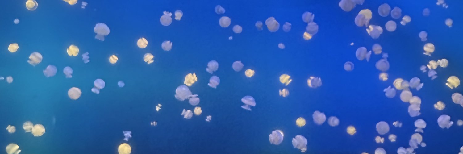 danguitarmore's profile banner image