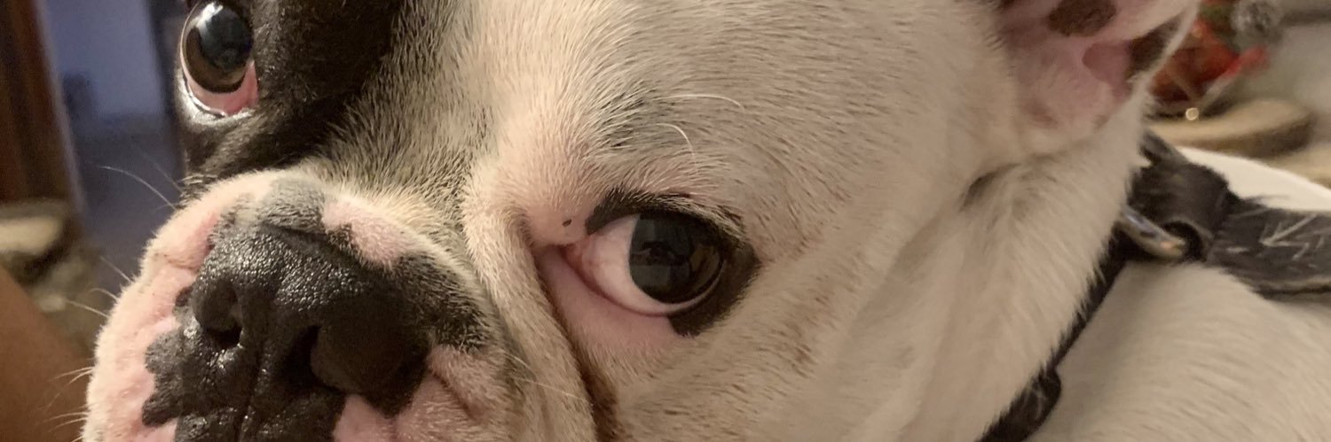 🆅🅾🅿🅰 banner