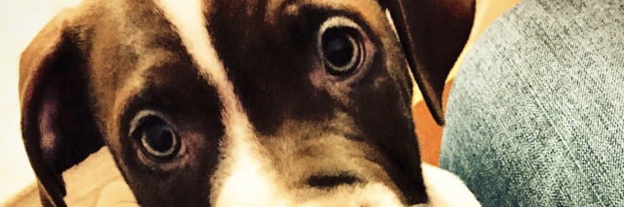 canberkgenc's profile banner image