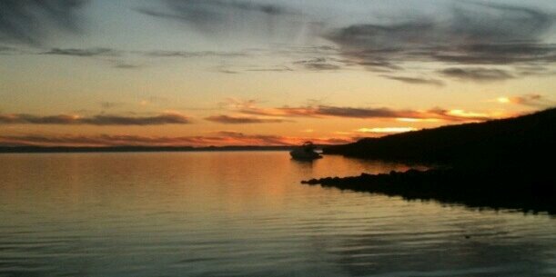 Aureliano Buendia https://beacons.ai/luiszaldivar banner