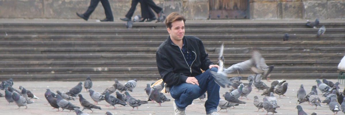 SStrapa's profile banner image