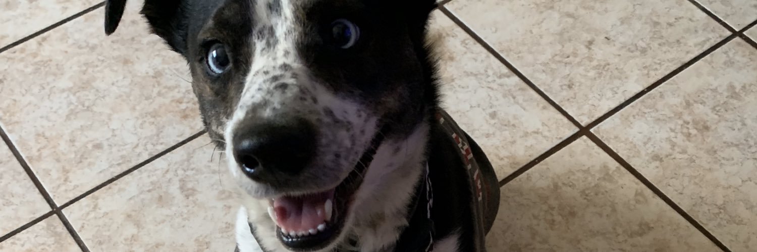denfig's profile banner image
