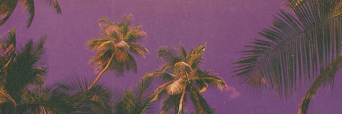 Chrxstophr's profile banner image
