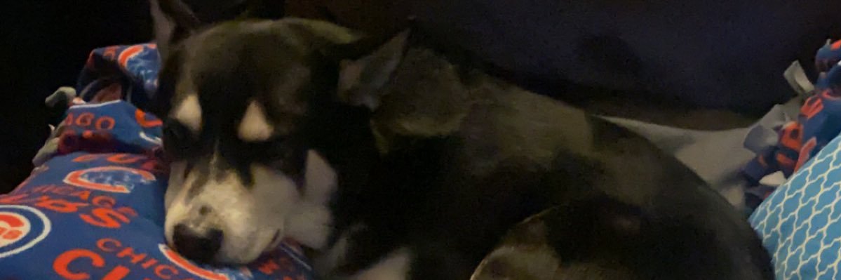 Cheyennejeffrey's profile banner image