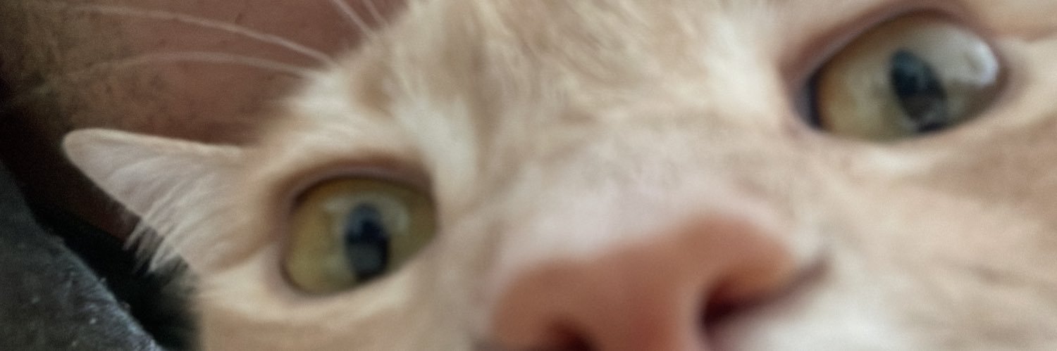 tw_ivanarce's profile banner image