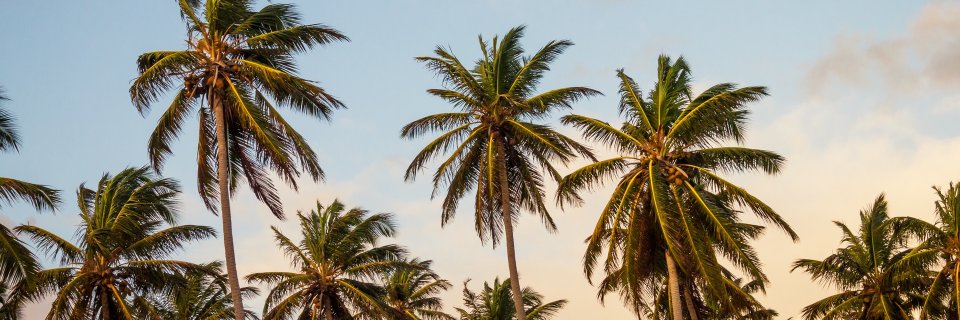 ldnrose86's profile banner image