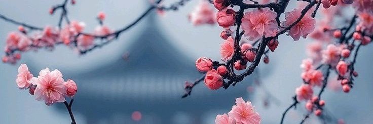 Bea_oliveirav's profile banner image