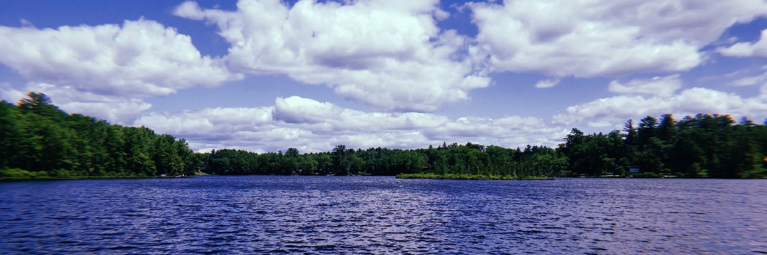 bloopdanielle's profile banner image