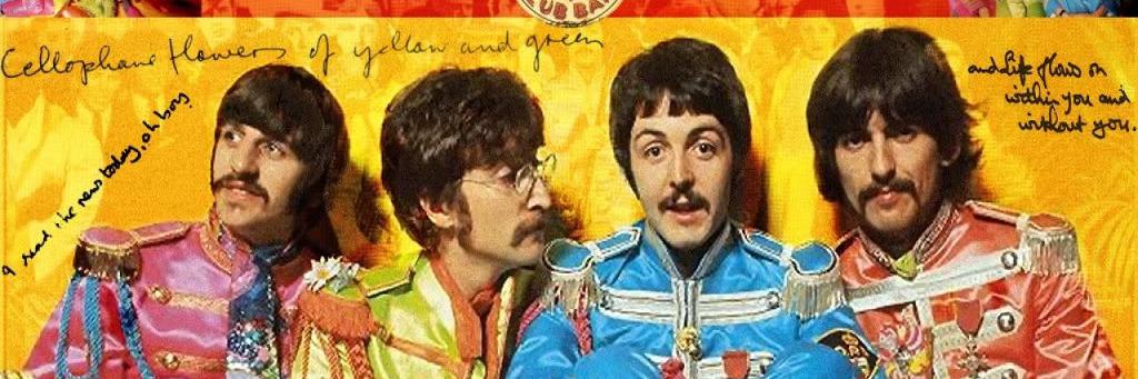 ᴀ ʀ ɴ ᴏ ʟ ᴅ banner