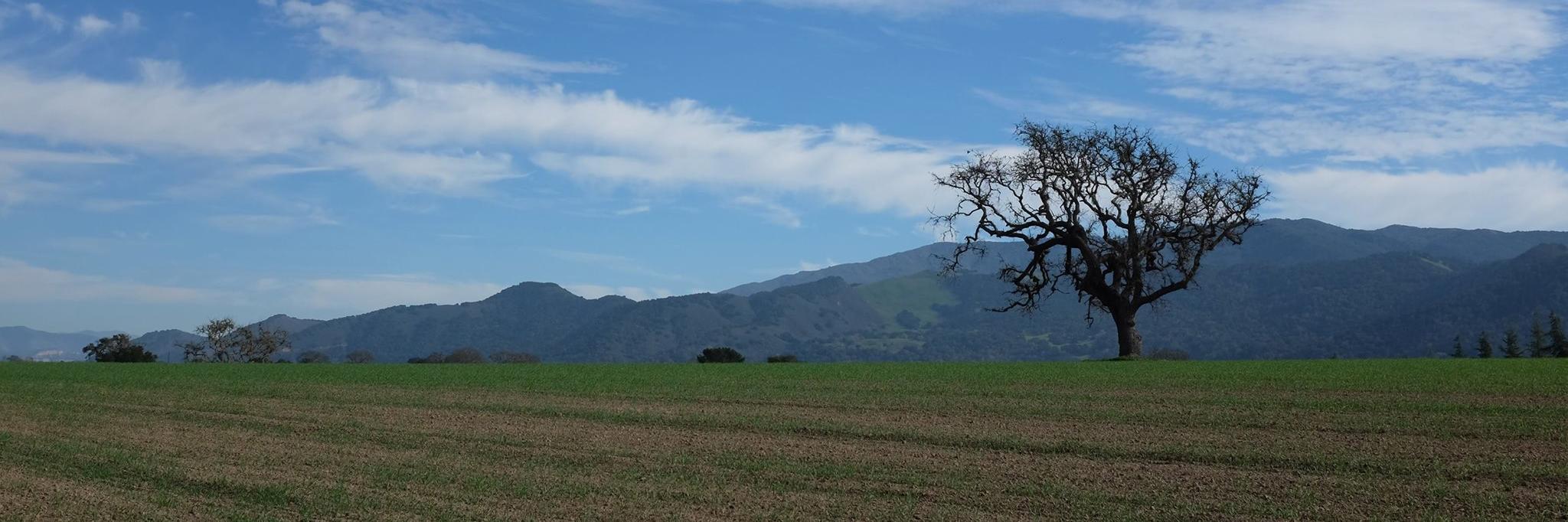 keithmackert's profile banner image