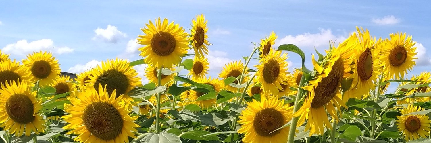 delicade5's profile banner image