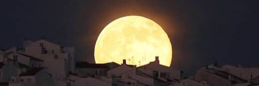 Hershel Hartford banner