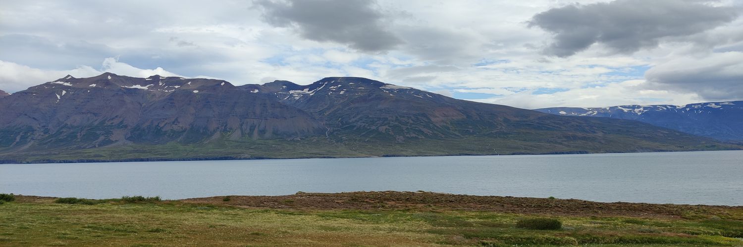 guttesen's profile banner image