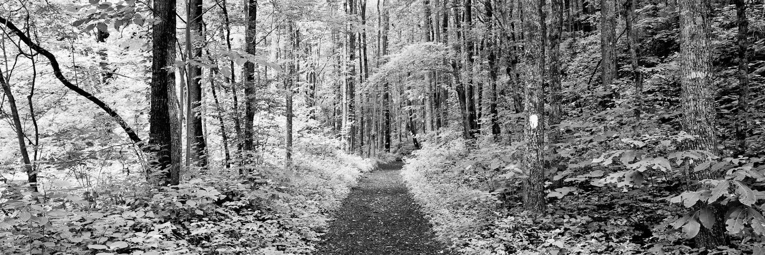 John K Carter banner