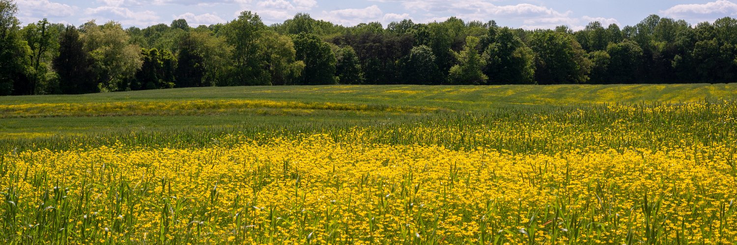 NatParkTrust's profile banner image