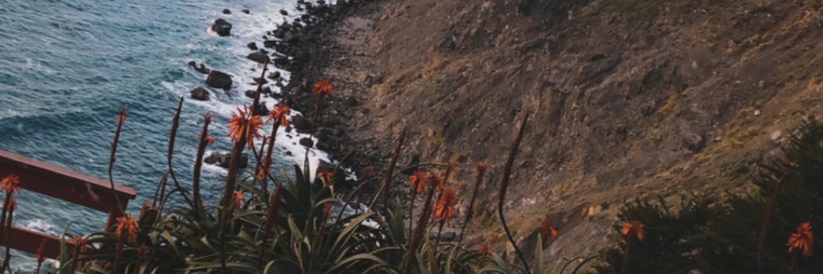 nelii_xo's profile banner image