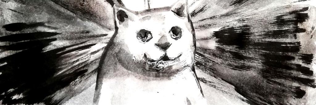 FAZZ banner