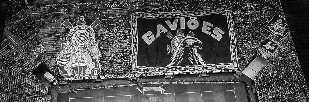 vihconti's profile banner image