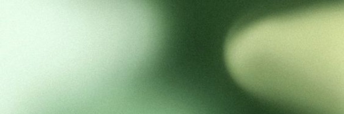 stargirl's banner