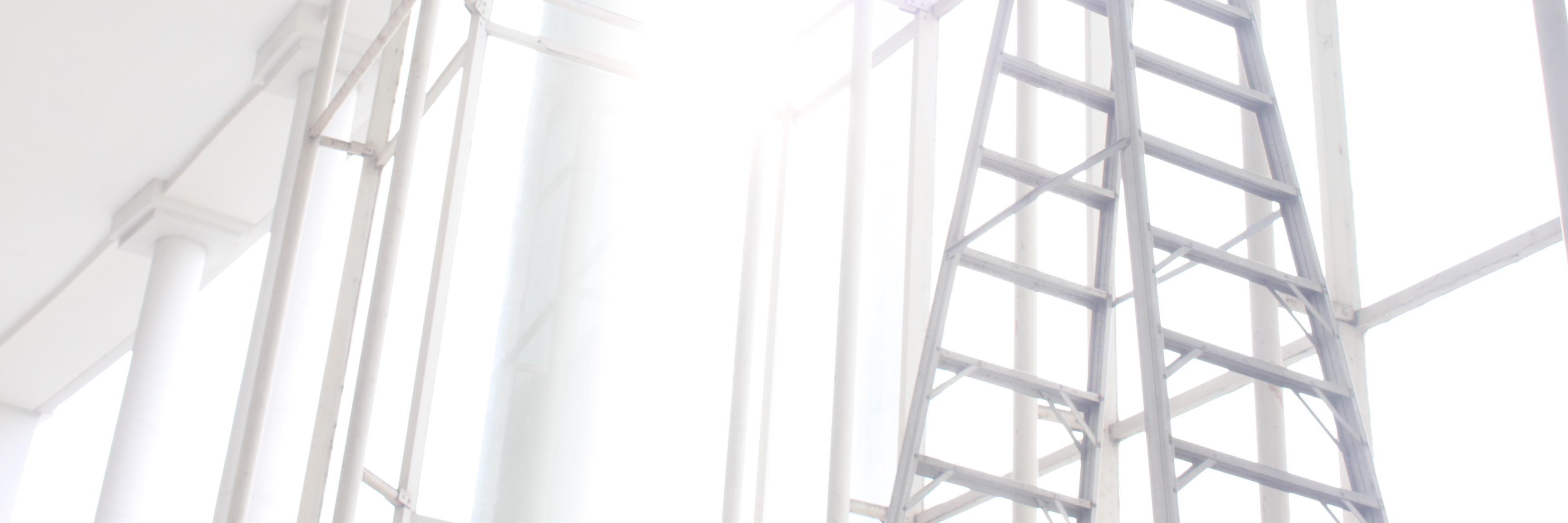 Fifiani's profile banner image