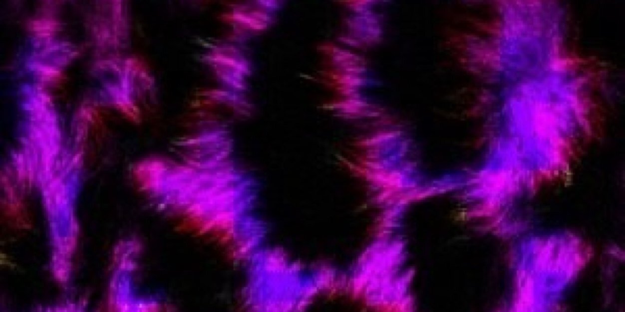 bridgettfertig's profile banner image