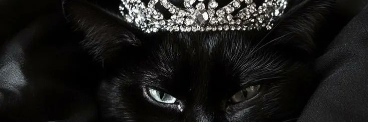 flawlesslybri's profile banner image