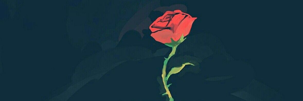 felipecomuna's profile banner image