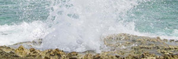 luckingo's profile banner image