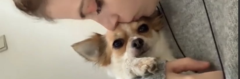 shaniaxlabeye's profile banner image