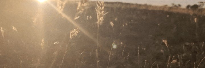 KelpieUnicorns's profile banner image