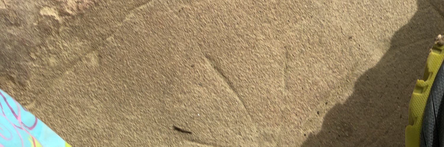 Jordan Sitkin banner