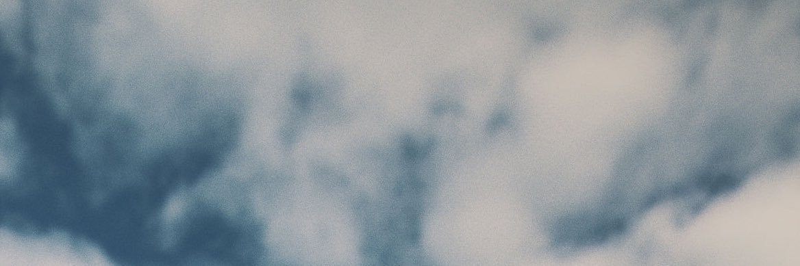Daniel Zott banner