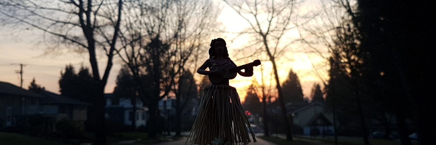 PMandisMe's profile banner image