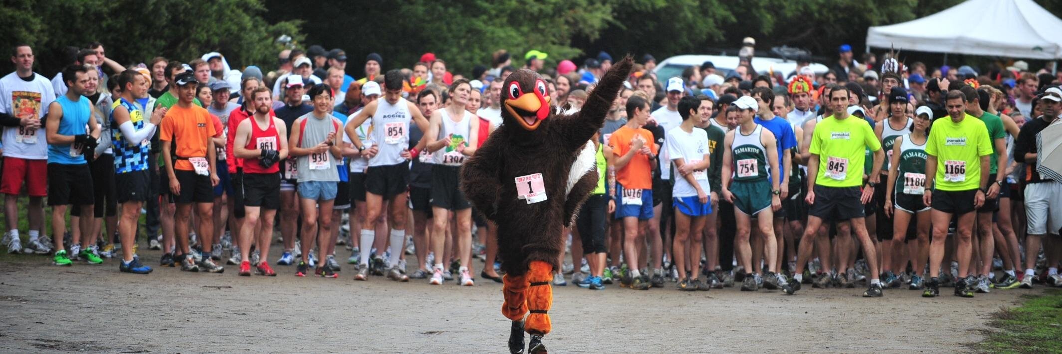 sfturkeytrot's profile banner image