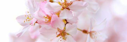 Marina_Deeva's profile banner image