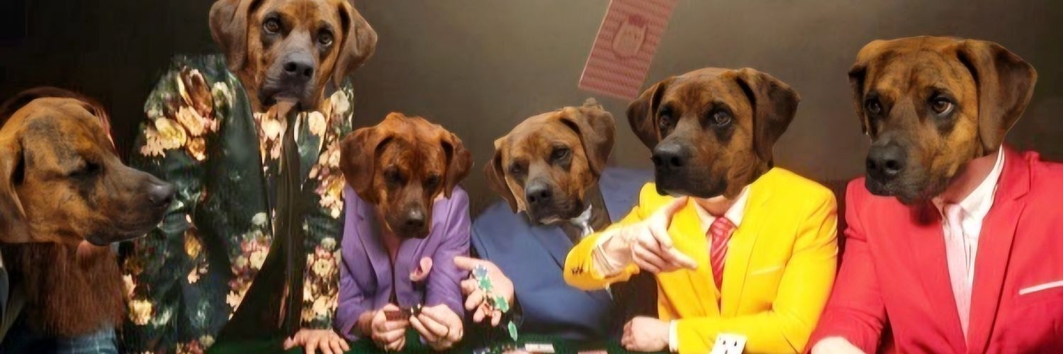 LilStar360's profile banner image