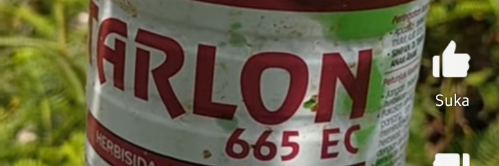 agoes_n's profile banner image
