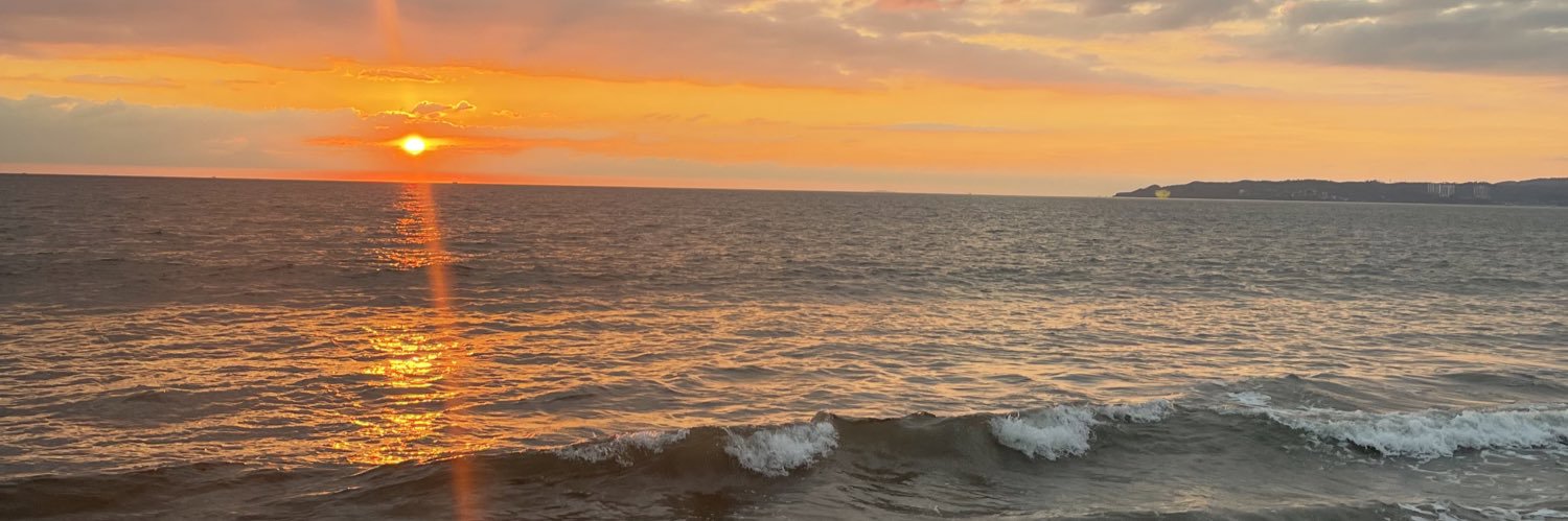 noisettex's profile banner image